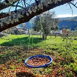 Raiz - Um Refugio Inspirador, Rodeado De Natureza! Vakantiehuis