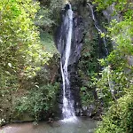 Raiz - Um Refugio Inspirador, Rodeado De Natureza! *