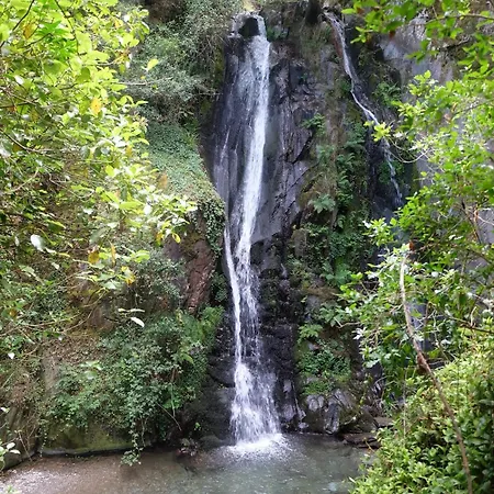Raiz - Um Refugio Inspirador, Rodeado De Natureza! *