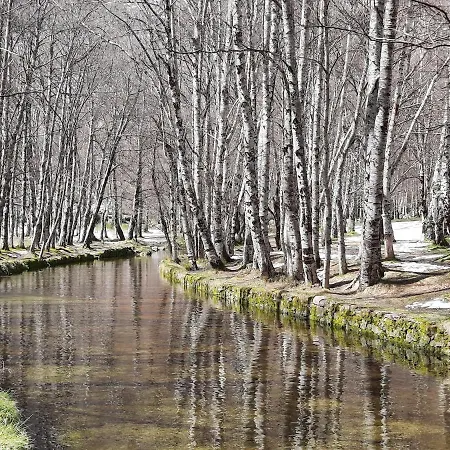 Holiday home Raiz - Um Refugio Inspirador, Rodeado De Natureza! *