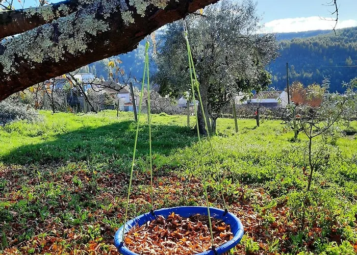 Raiz - Um Refugio Inspirador, Rodeado De Natureza! Ferienhaus