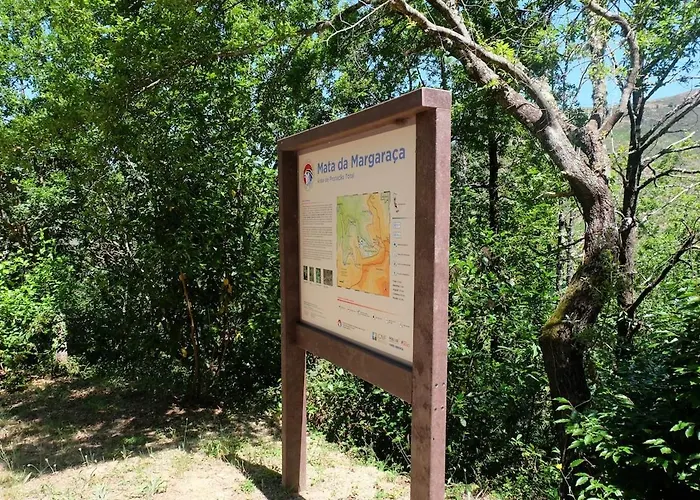 Ferienhaus Raiz - Um Refugio Inspirador, Rodeado De Natureza! *