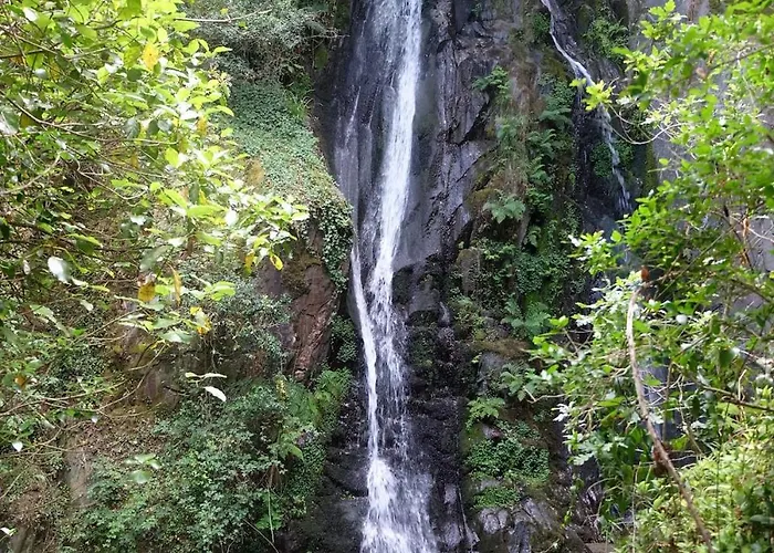 Raiz - Um Refugio Inspirador, Rodeado De Natureza! *