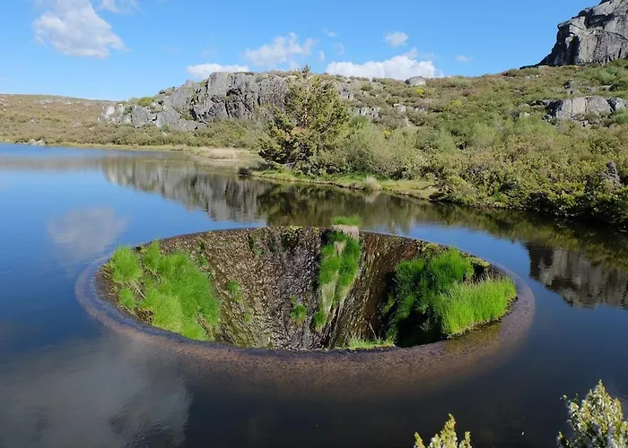 Raiz - Um Refugio Inspirador, Rodeado De Natureza! *