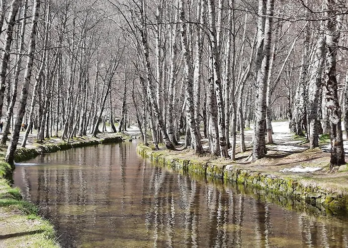 Ferienhaus Raiz - Um Refugio Inspirador, Rodeado De Natureza! *
