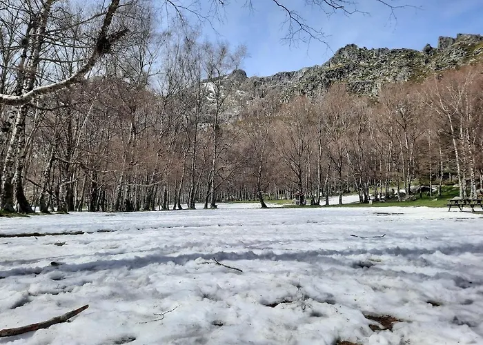 Raiz - Um Refugio Inspirador, Rodeado De Natureza! *